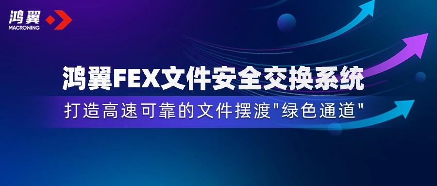 鴻翼FEX文件安全交換系統，打造安全高效的文件擺渡“綠色通道”