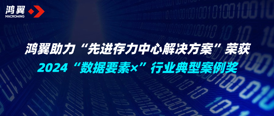 加“數”前進！鴻翼助力“先進存力中心解決方案”榮獲2024“數據要素×”行業典型案例獎